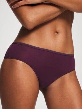 🕯NWT Soma Vanishing Edge Micro Cheeky Hipster Panty Plum Perfect Size L